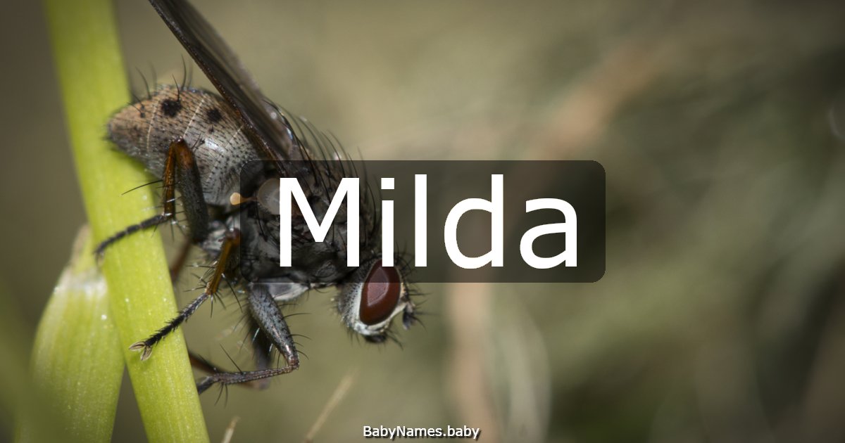 Milda