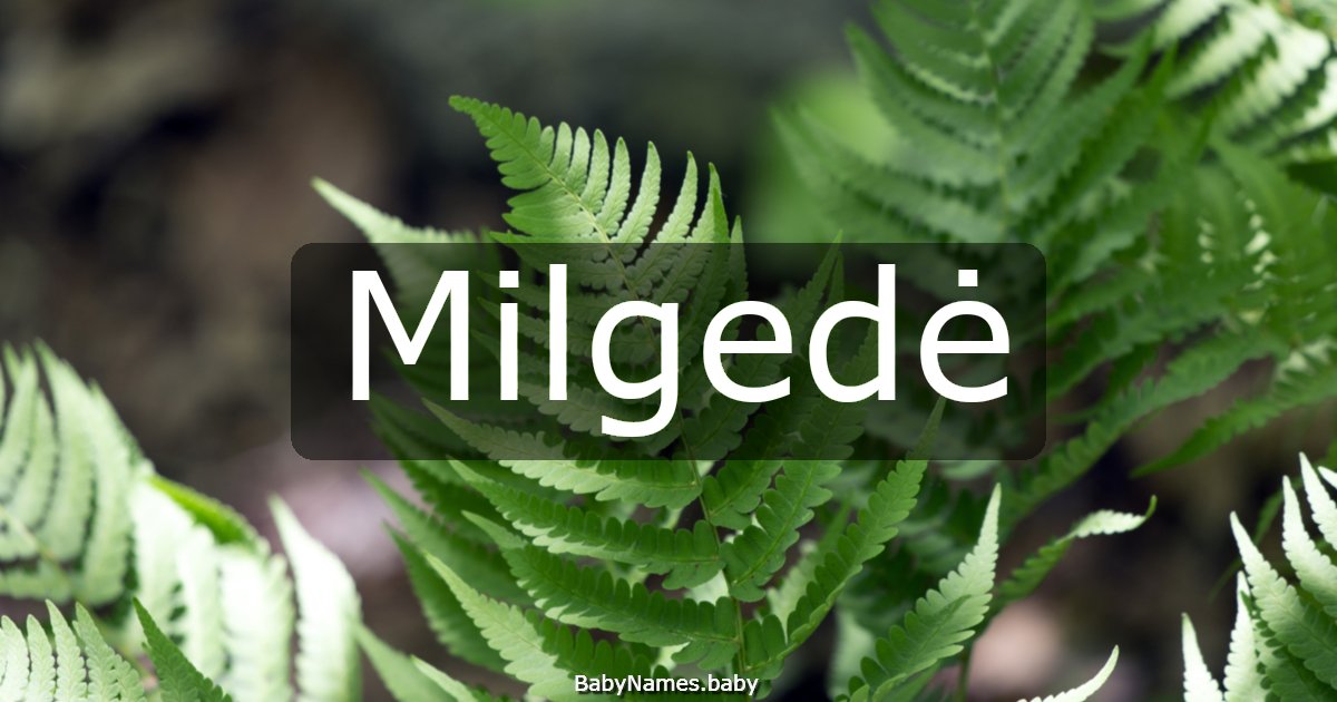 Milgedė