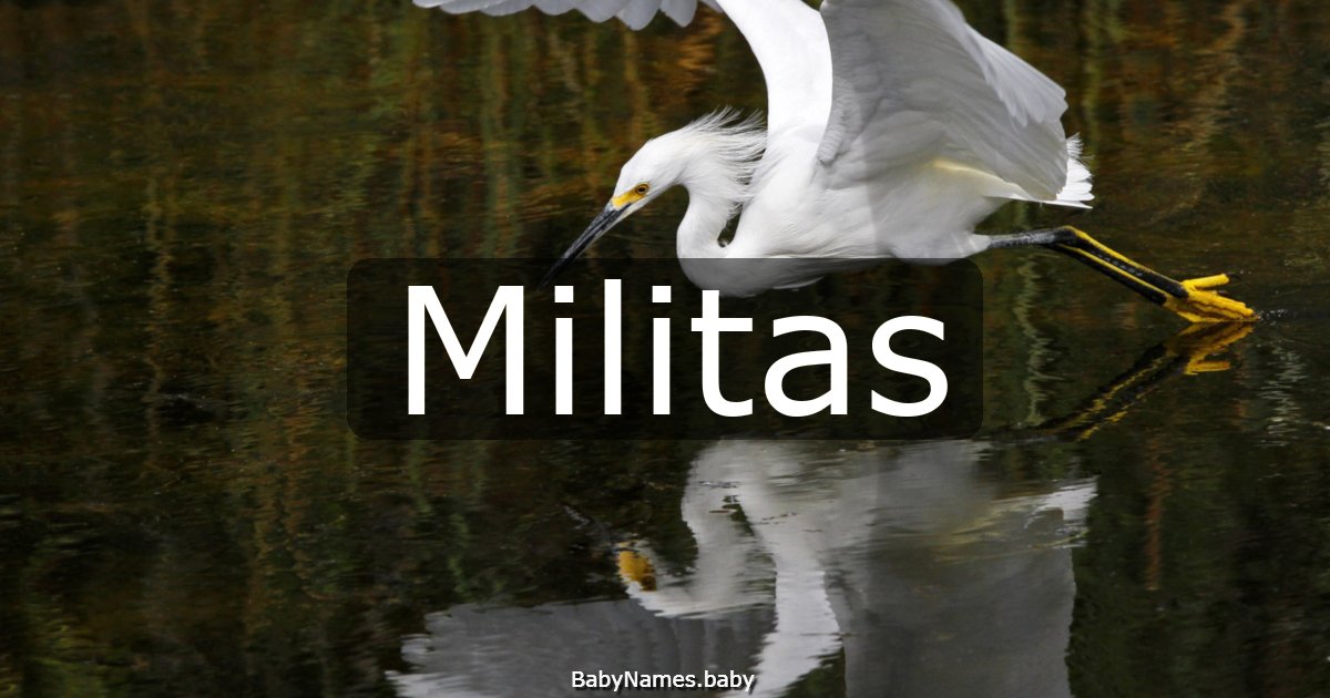 Militas