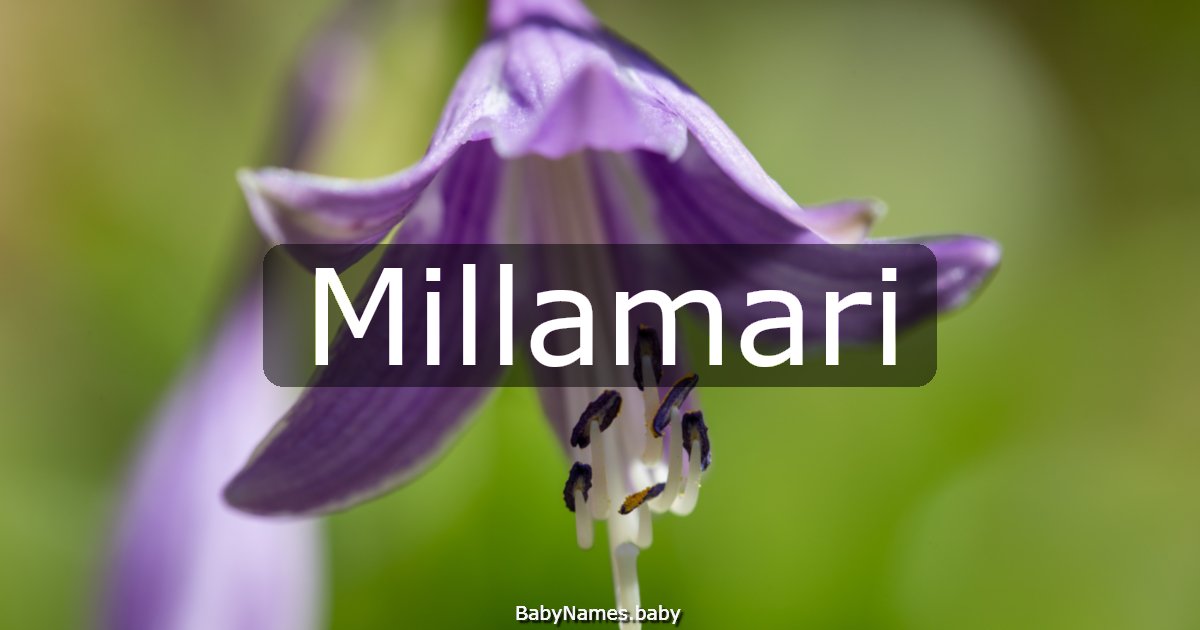 Millamari