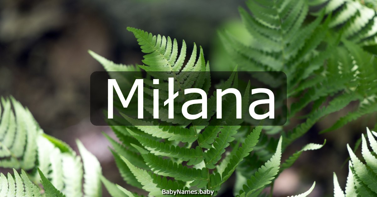 Miłana