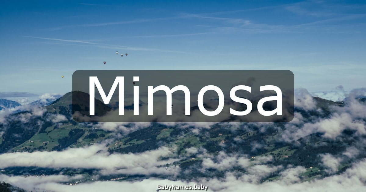 Mimosa