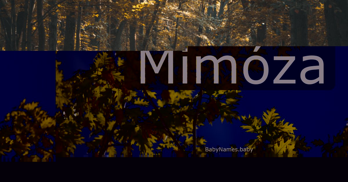 Mimóza
