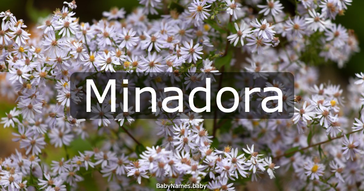 Minadora