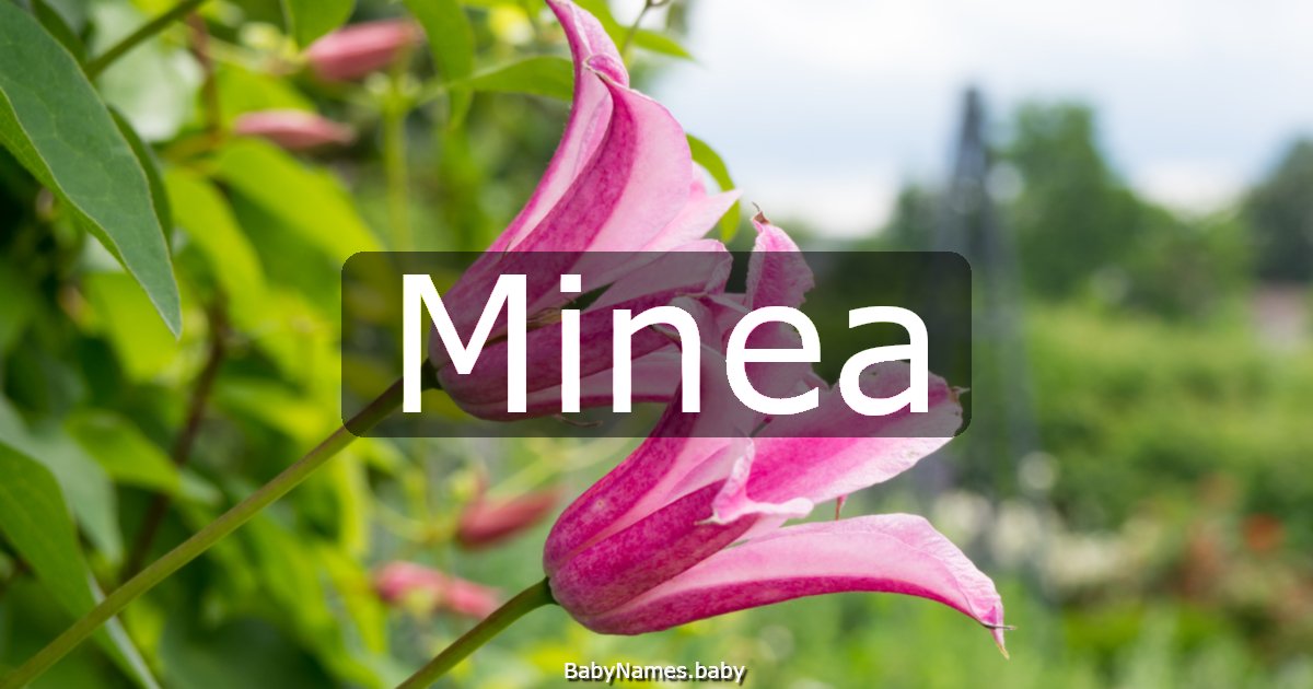 Minea