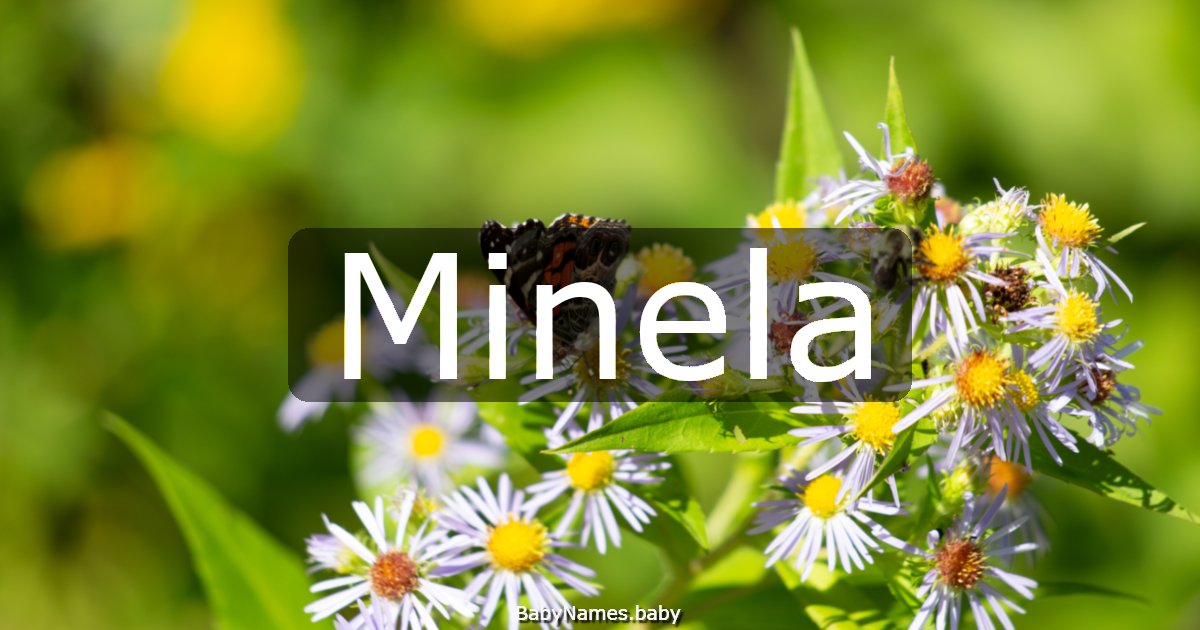 Minela