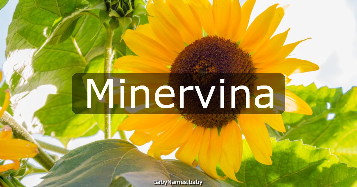 Minervina