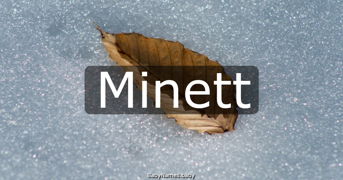 Minett