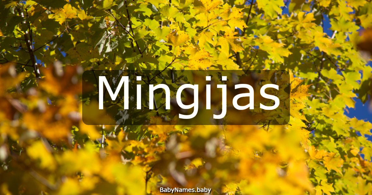 Mingijas