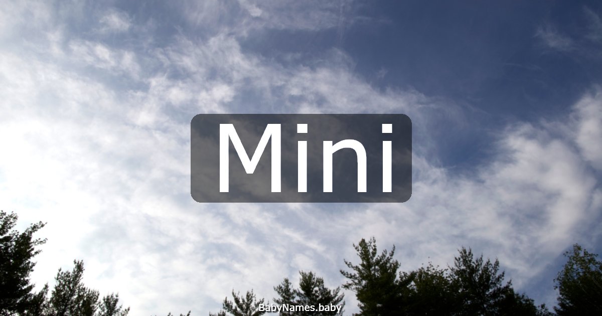 Mini