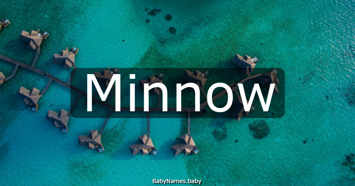 Minnow