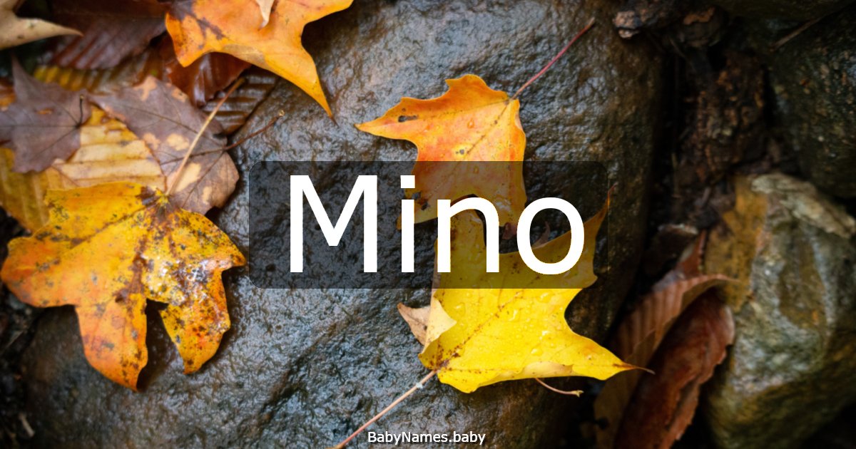 Mino