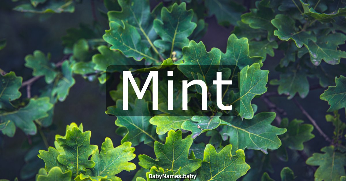 Mint