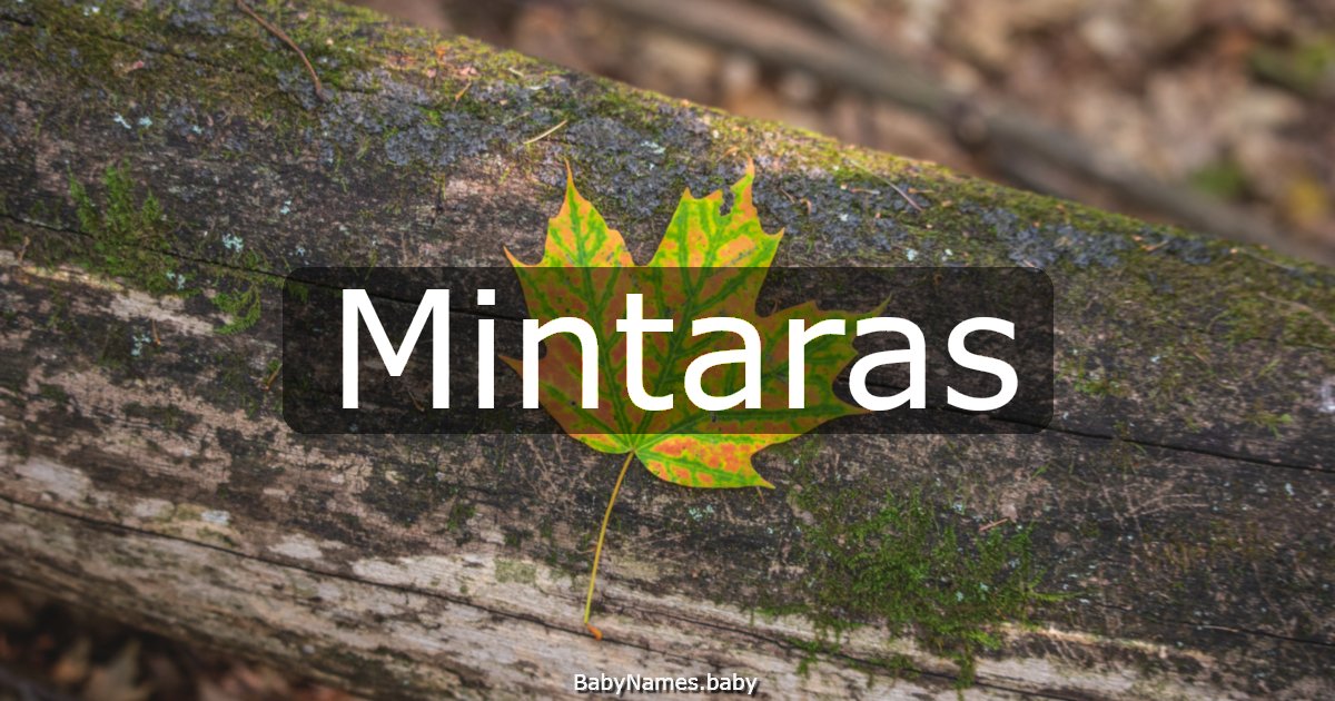 Mintaras