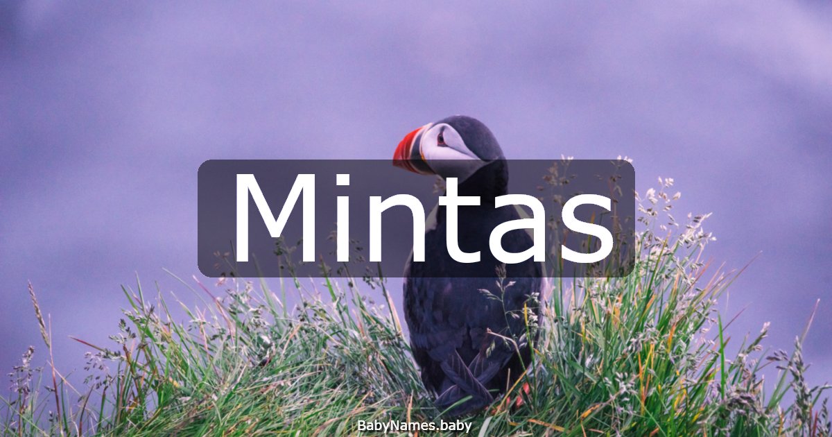 Mintas