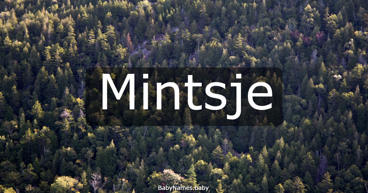 Mintsje