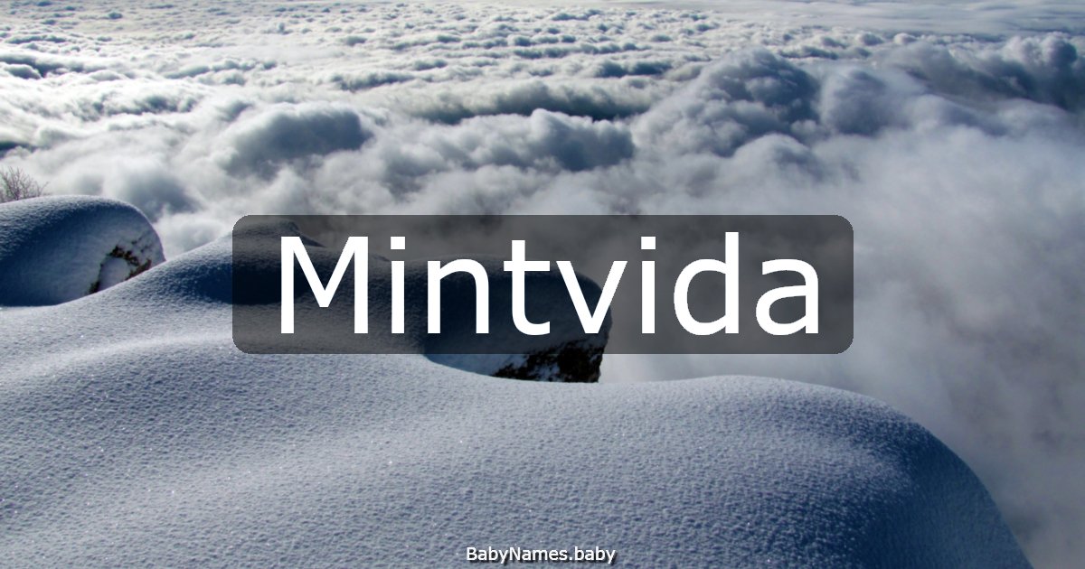 Mintvida
