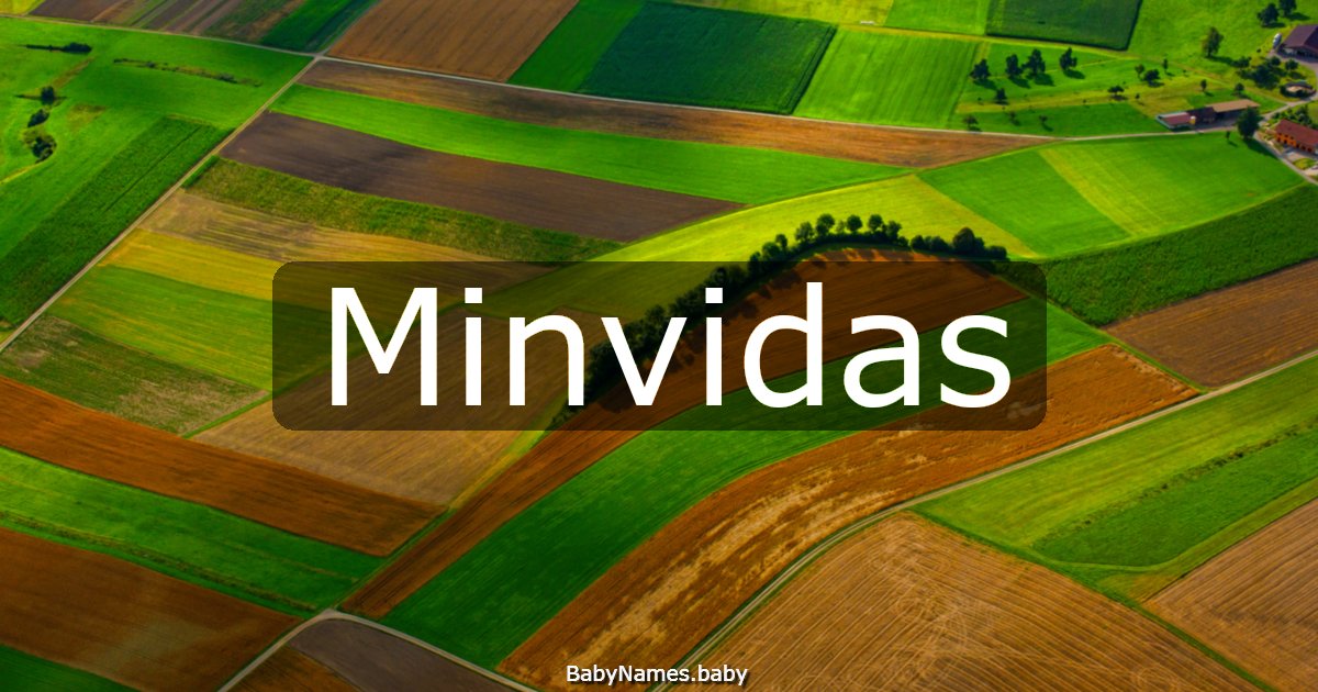 Minvidas
