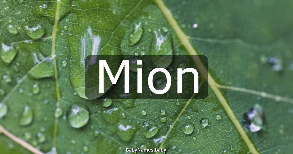 Mion