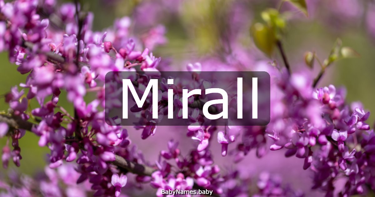Mirall