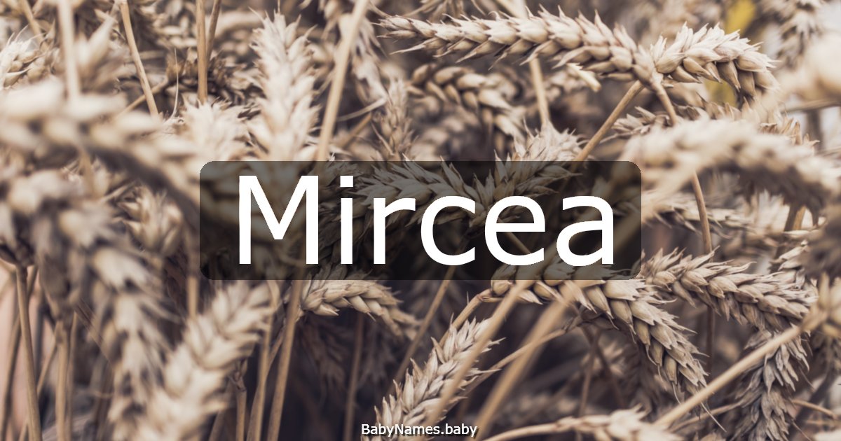 Mircea