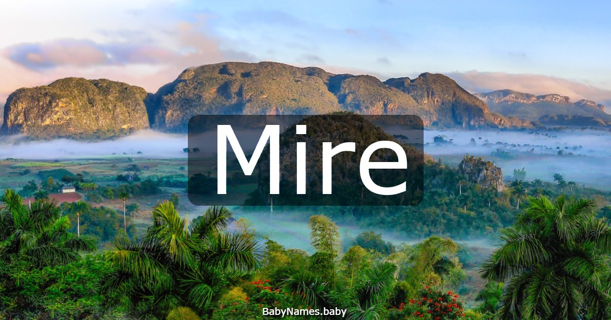 Mire