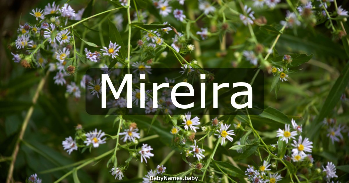 Mireira