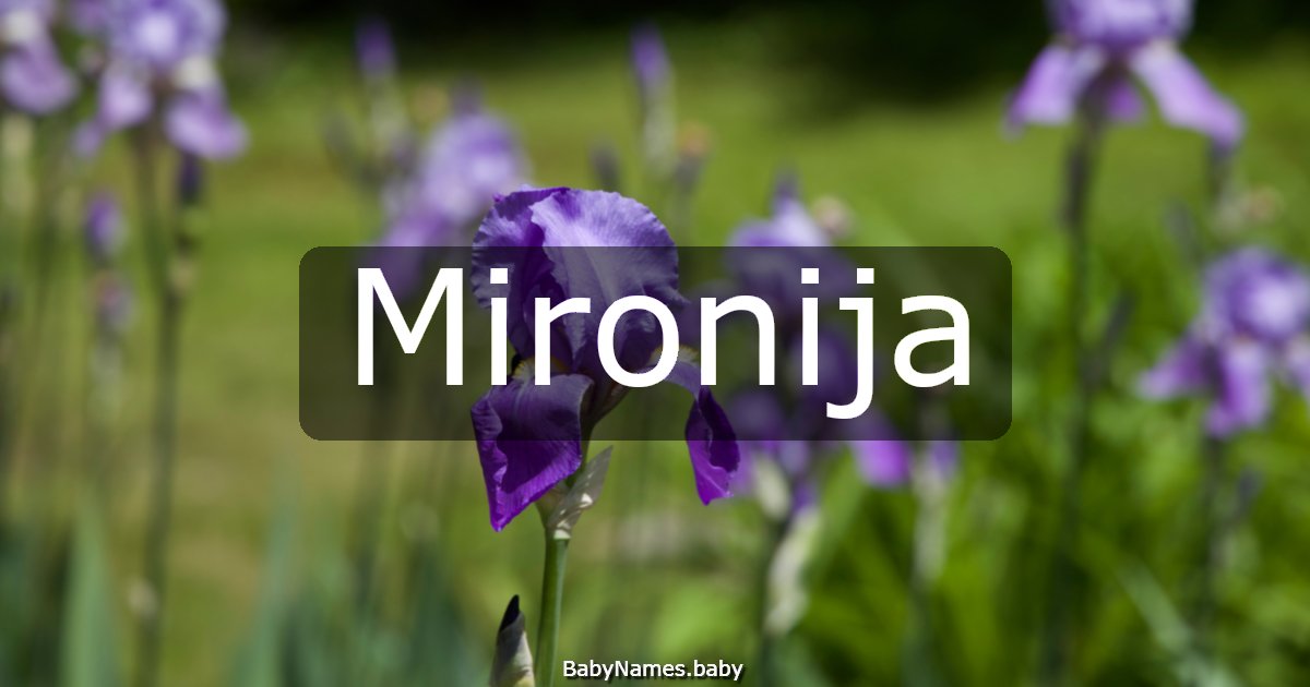 Mironija