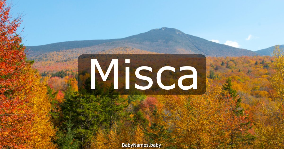 Misca