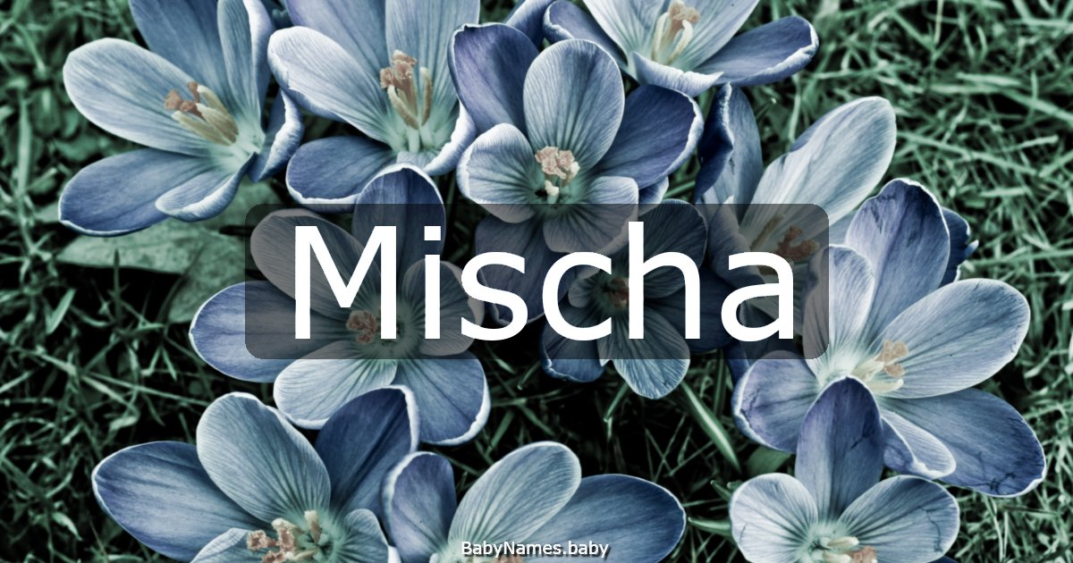 Mischa