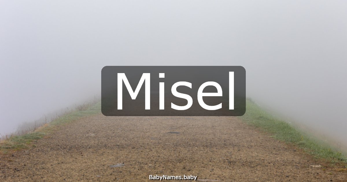 Misel