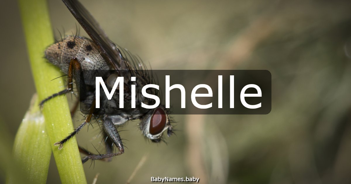 Mishelle