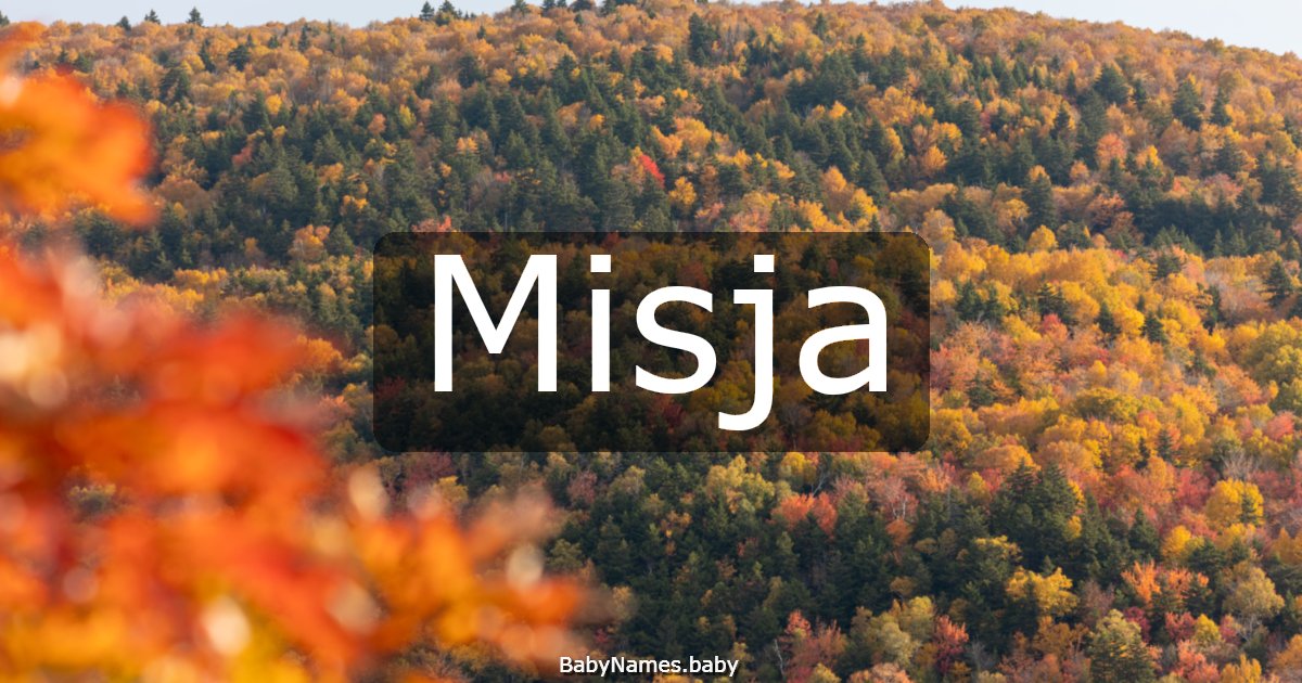 Misja