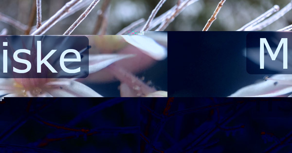 Miske