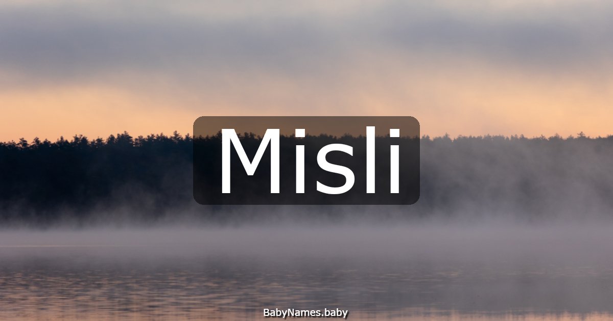 Misli