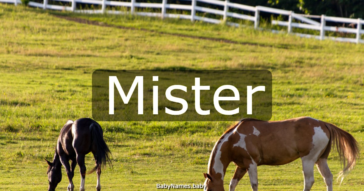 Mister