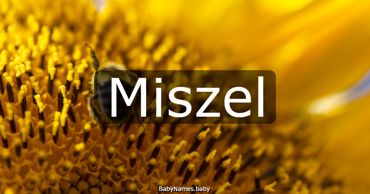 Miszel