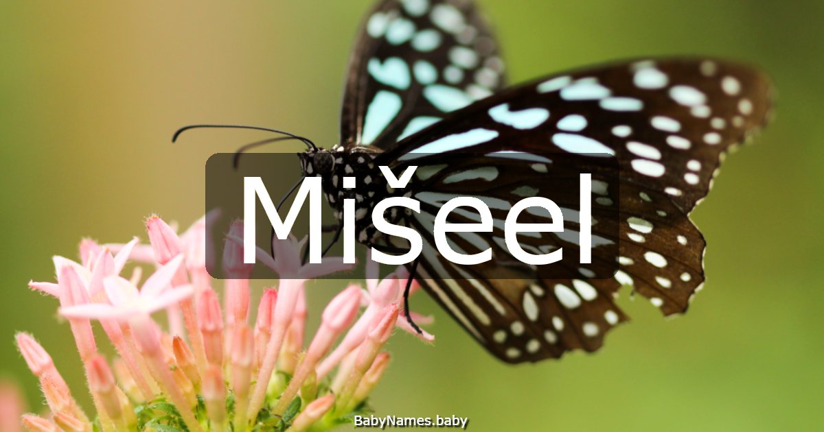 Mišeel