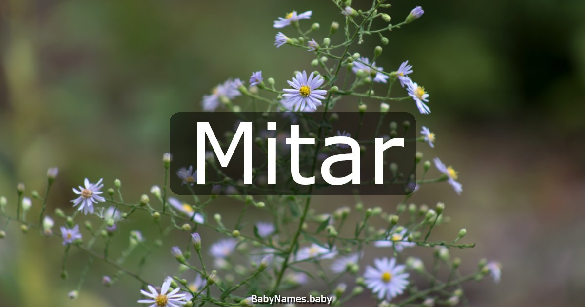 Mitar