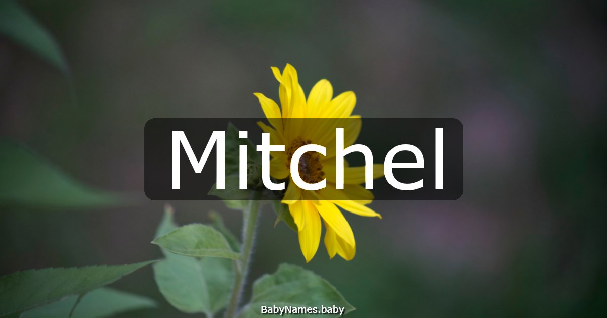 Mitchel