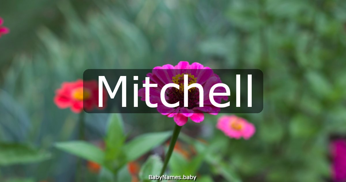 Mitchell