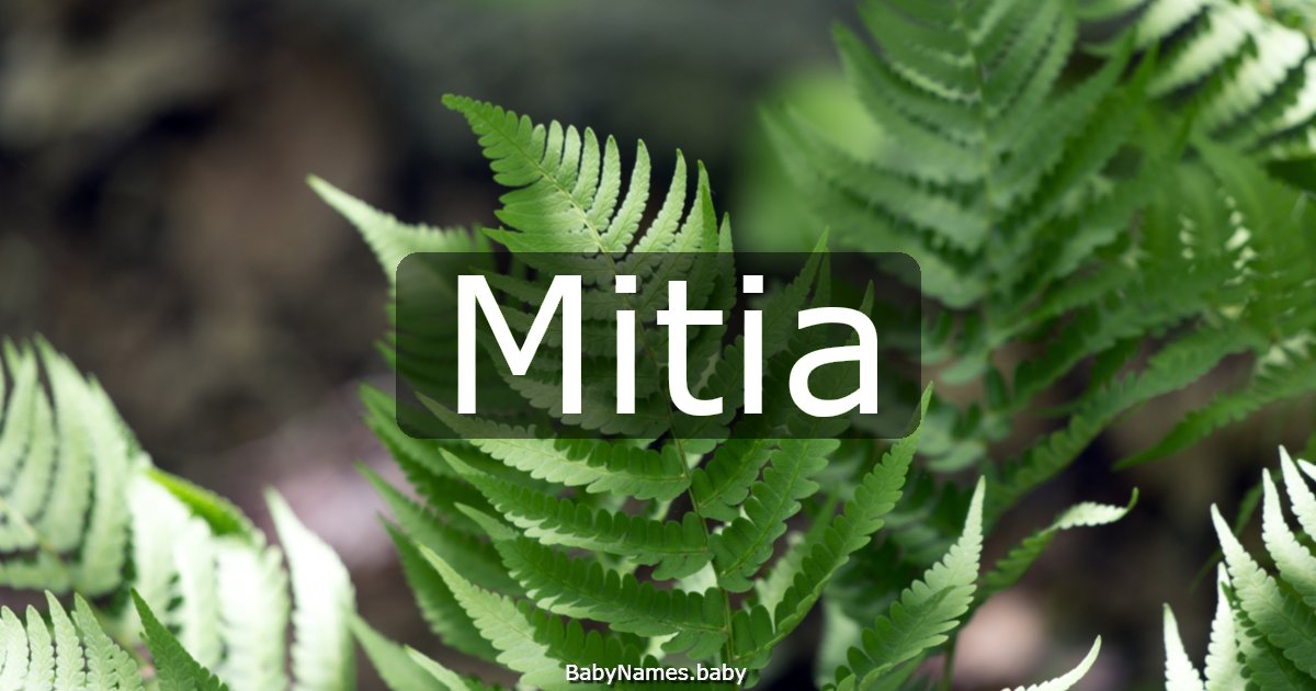 Mitia