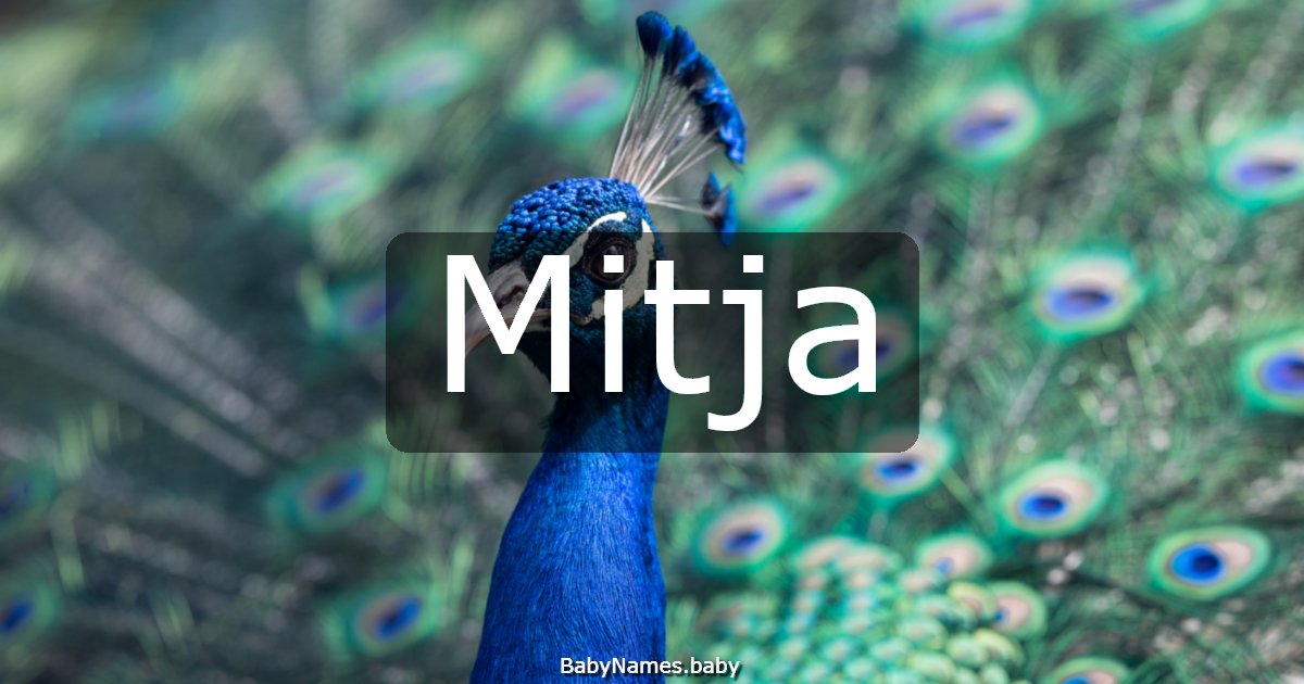 Mitja