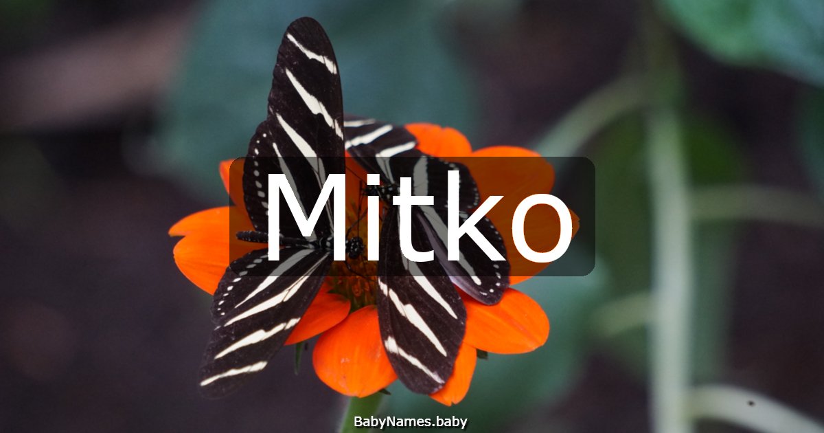 Mitko