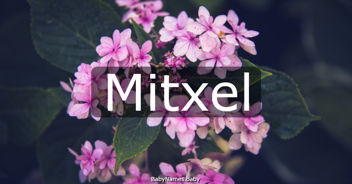 Mitxel
