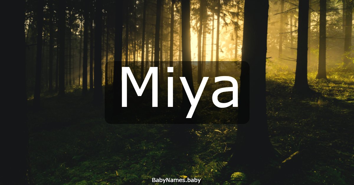 Miya