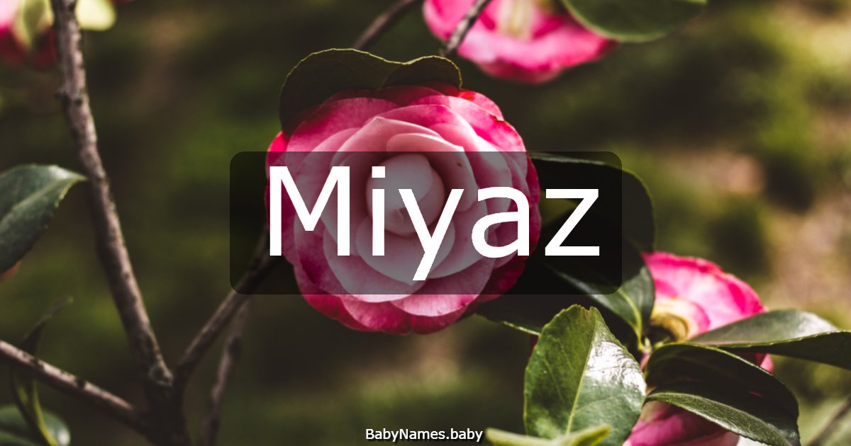 Miyaz