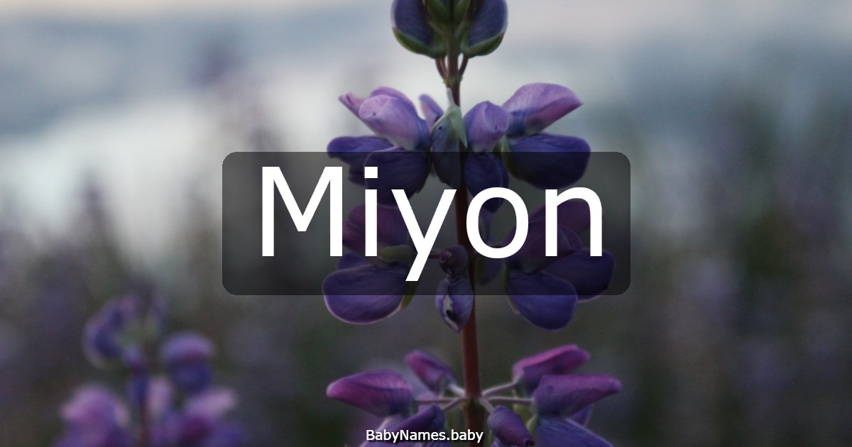 Miyon