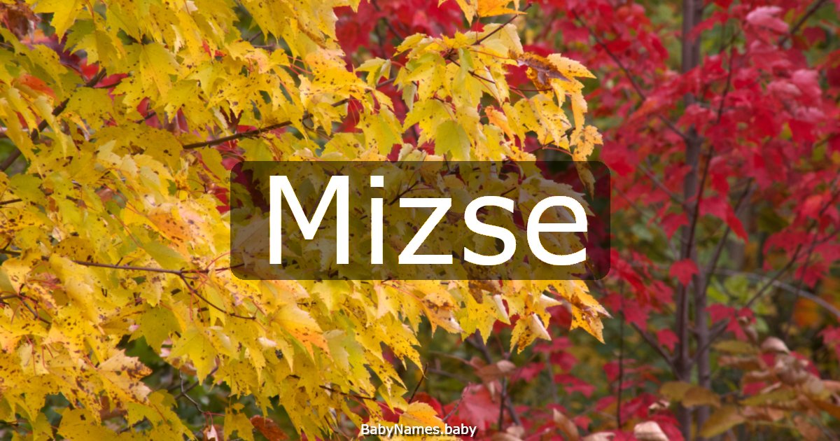 Mizse