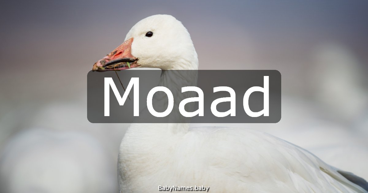 Moaad